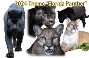 Theme Images of FL Panthers for Musical Echoes